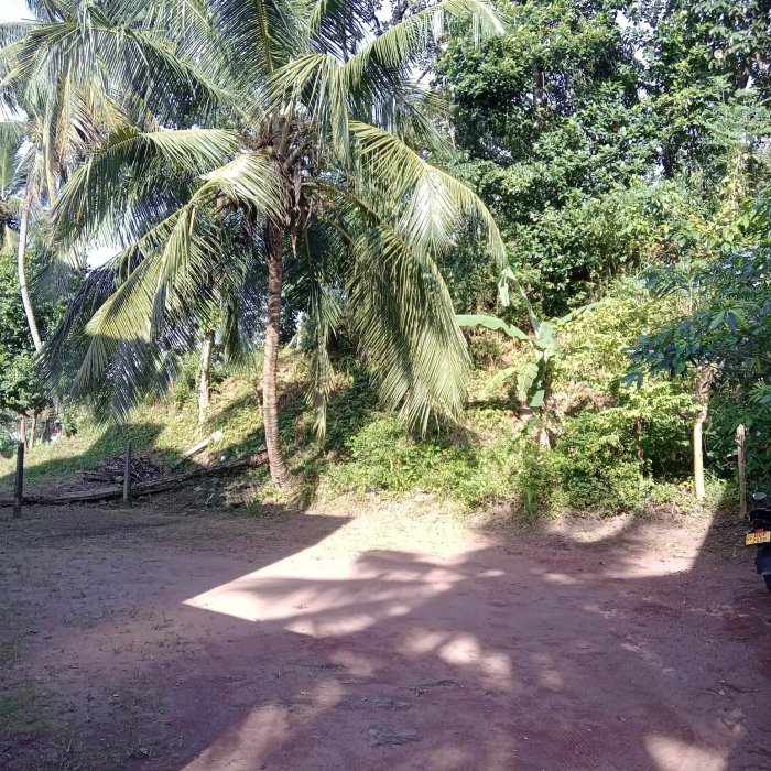 Land Thalawathugoda 