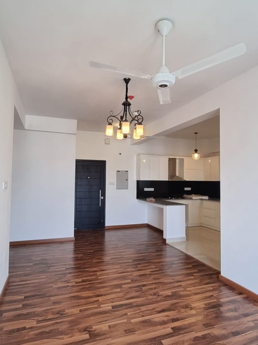 Treasure Trove Colombo 8