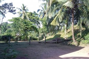 Land Thalawathugoda 